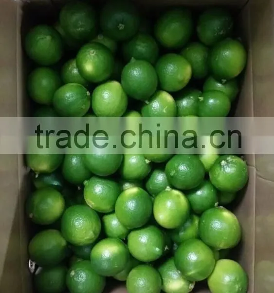 VIETNAM FRESH SEEDLESS LIME photo-2