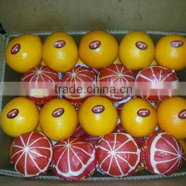Weight of Navel and Valencia Orange From Egypt in 18 kg Cartons photo-6