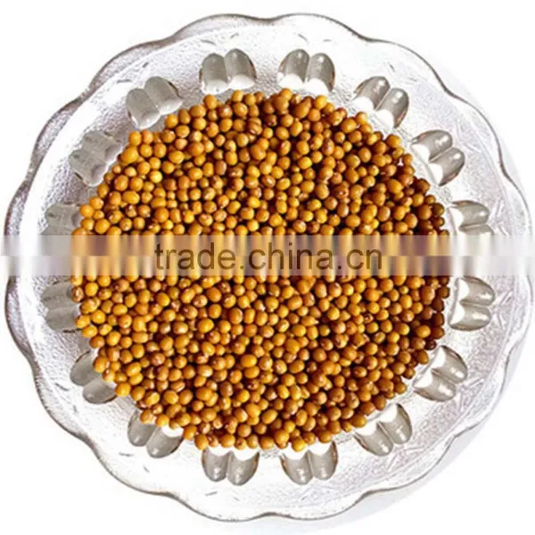 JSX Free Sample Yellow Mung Bean Price Current Year High Quality Mung Bean Sprout Production photo-2