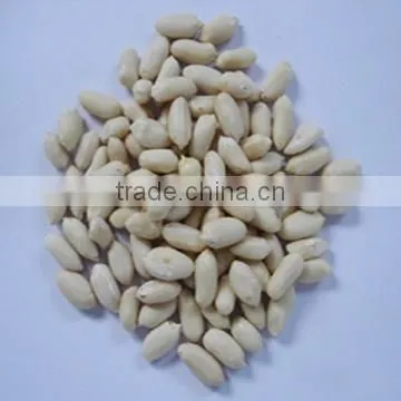 Blanched Peanuts