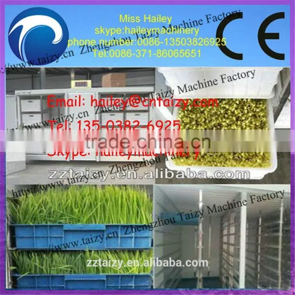 Bean Sprout Growing Machine-automatic Bean Sprout Machine