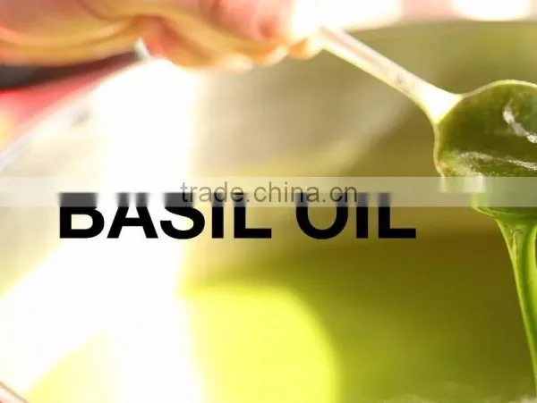 High Quality Basil Oil photo-3
