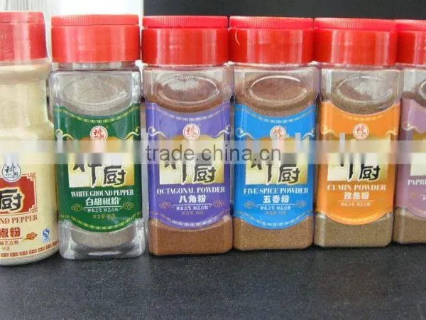 Condiment(mix Spice Powder)