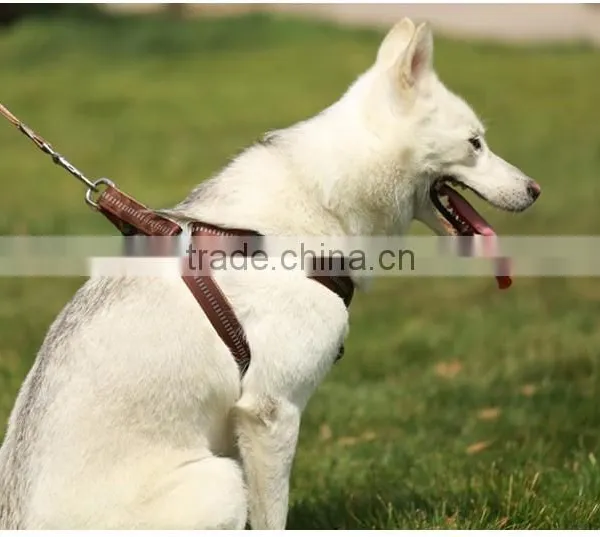 Wholesale pet dog leash and dog harness vest