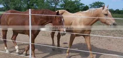 Fiber Reinforced Plastic Used Fence Post for Sale photo-2