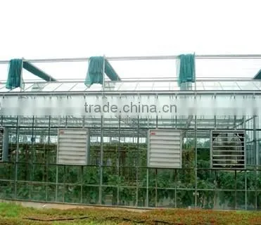 Commercial Greenhouse photo-5