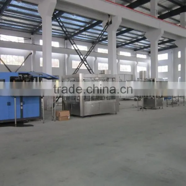 Automatic Water Treatment and Bottling Plant Price photo-6