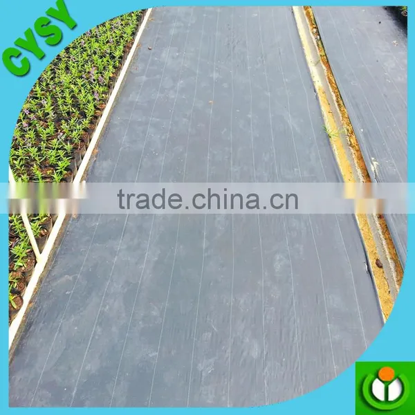 Black Greenhouse Wildly Use Anti Weed Mat Plastic Weed Mat photo-5