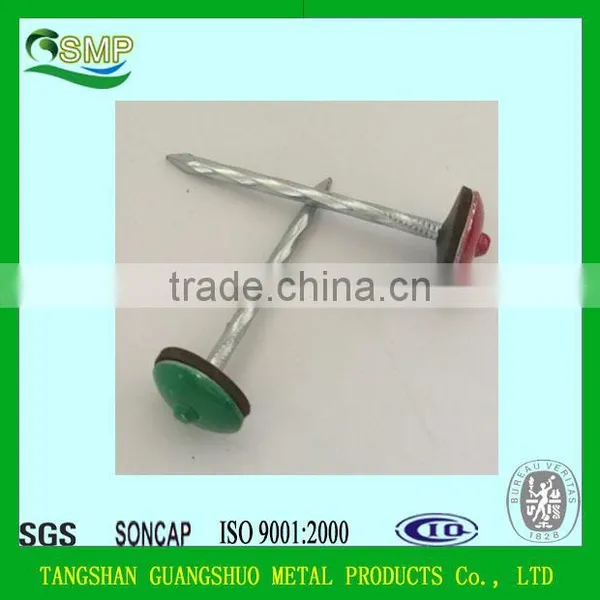 Common Nails/Concrete Steel Nail/Roofing Nail China Manufacturer photo-2