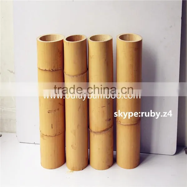 50cm Moso Bamboo Canes photo-2