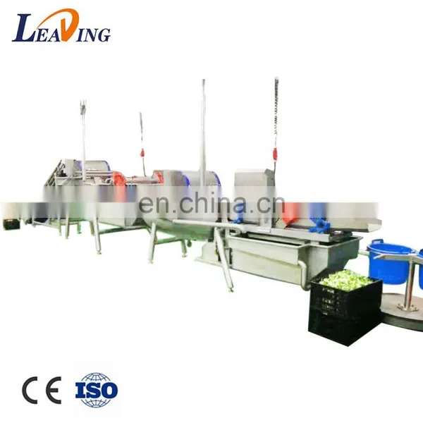Hot Sale Cheap Reliable Industrial Vegetable Processing Line Machine Wholesaler photo-4