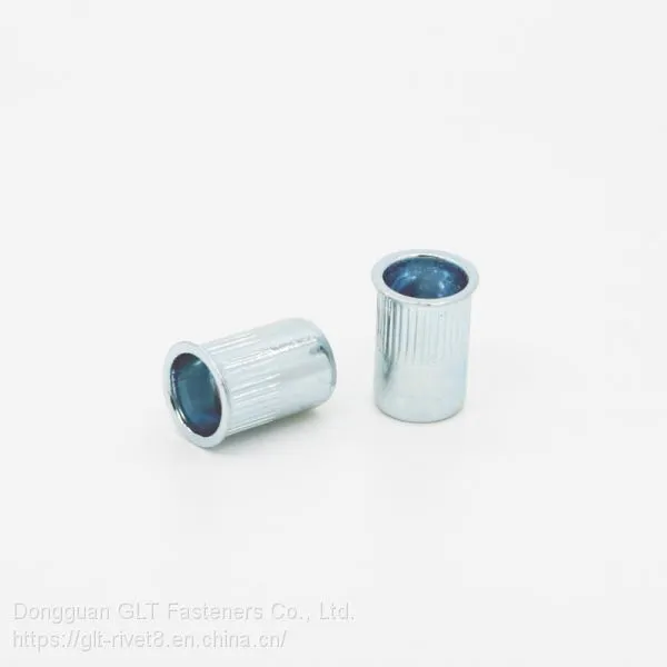 China Threaded Inserts Steel Blind Rivet Nut photo-5