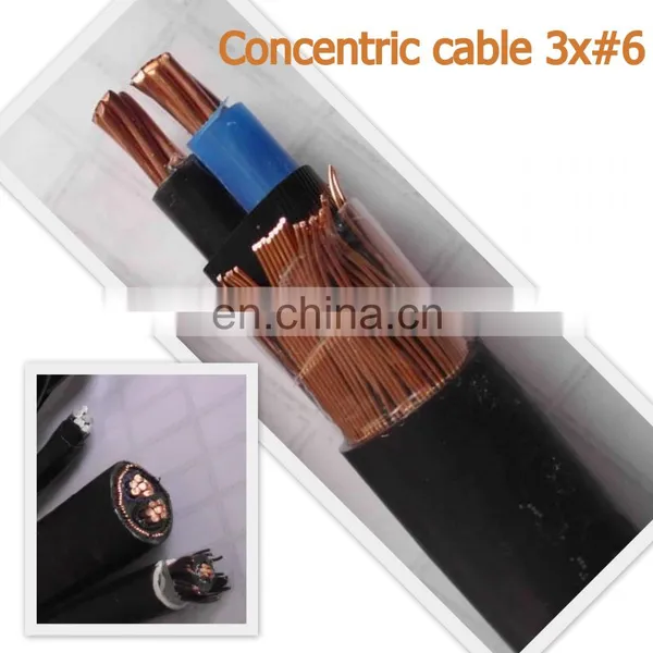 China Best Price BS7870 PVC Concentric Cable photo-4