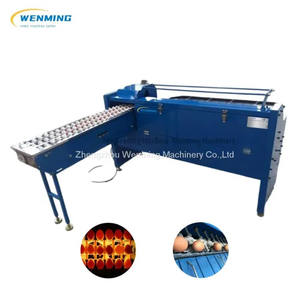 Egg Grading Machine Automaticr Egg Sorting Machine Egg Grader photo-5