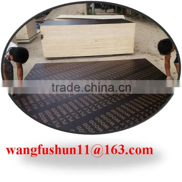 18mm Film Faced Plywood Qatar Film Faced Plywood for Construction photo-6
