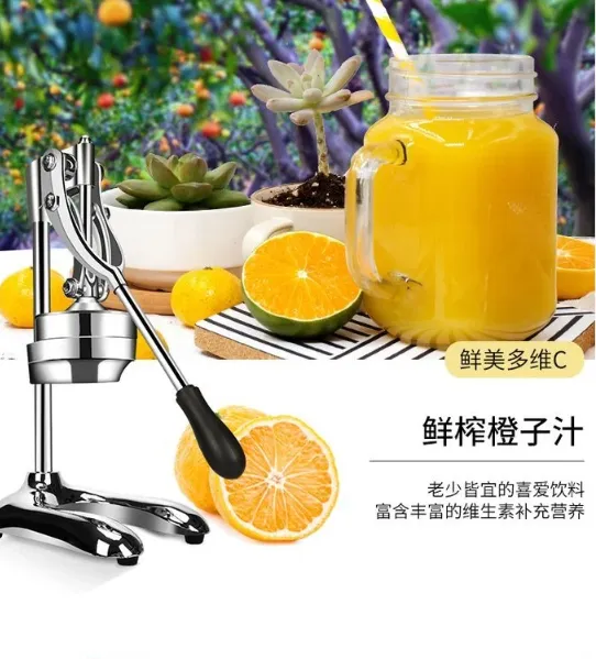 Fruit Squeezer photo-5
