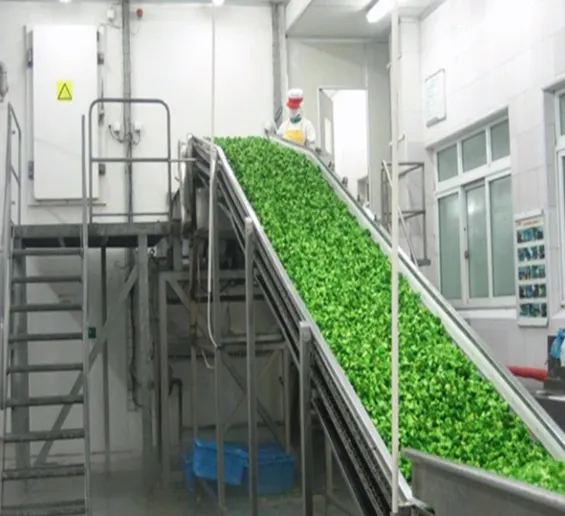 Automatic Frozen Fruit & Vegetable Processing Line Frozen Asparagus Production Line photo-5