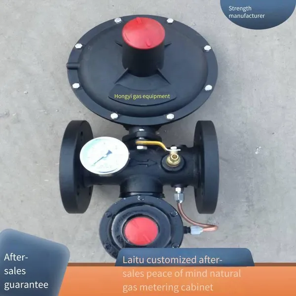 Hongyi Factory Supply Natural Gas Pressure Regulation and Metering Cabinet, With a Simple, Convenient and Flexible System, Customizable on Demand photo-5