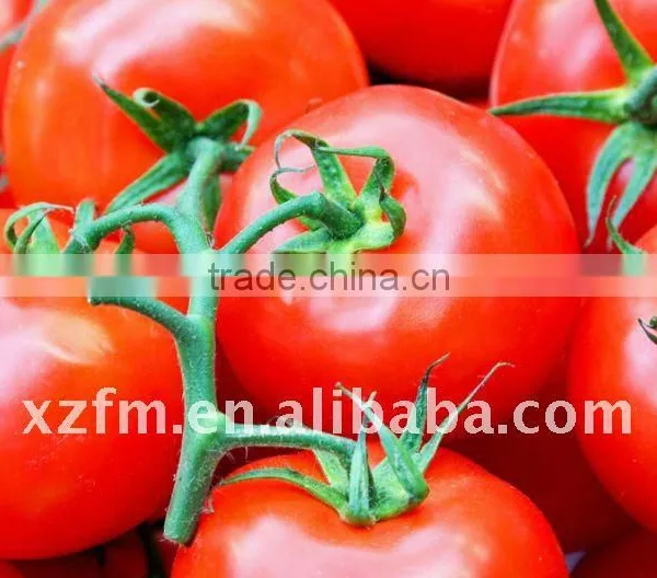 Tomato Paste in Standing Pouch