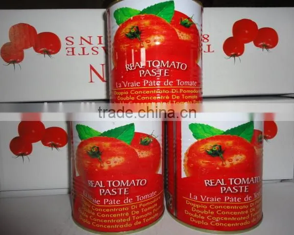Popular Tomato Paste in Can NW 800gram