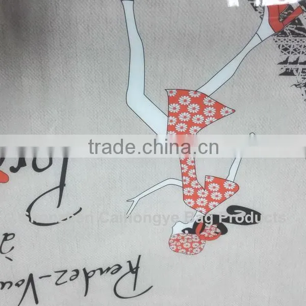 Hot Sale Pvc Coated Cotton Shopping Bag photo-6