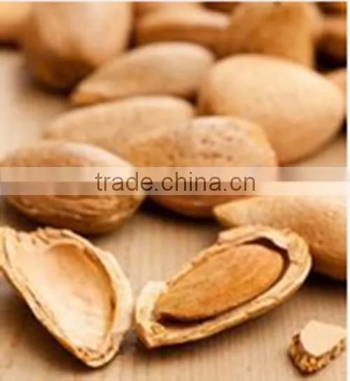 Best Seller Almond Oil