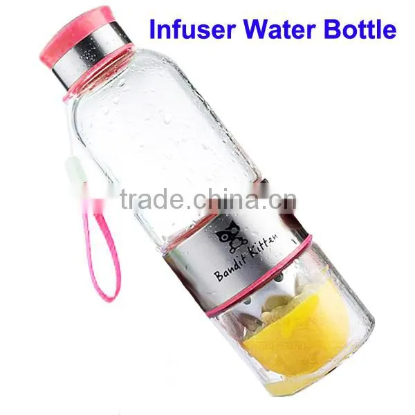 Wholesale 500ml Glass Fruit Infuser Water Bottle, Lemon Water Bottle Infuser Quality Choice photo-3