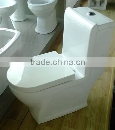Fashionable Siphonic White Porcealin One Piece Toilet 8226 photo-2
