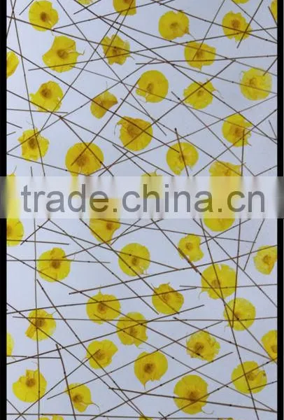 Color Acrylic Plexiglass Panels for Room Divider photo-2