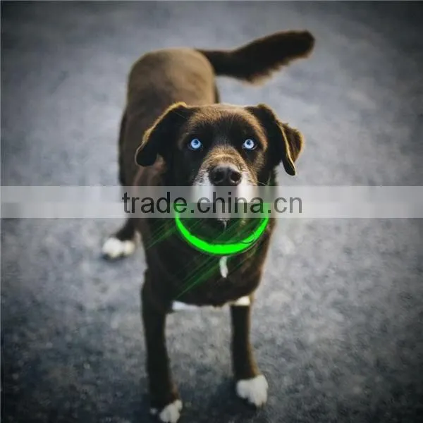 Hot Dog Accessories Dog Collar Name Plate,dog Collar Camera photo-6