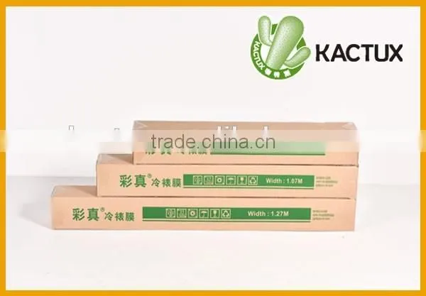Self Adhesive Cold Lamination Film photo-6