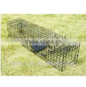 Squirrel Cage Trap
