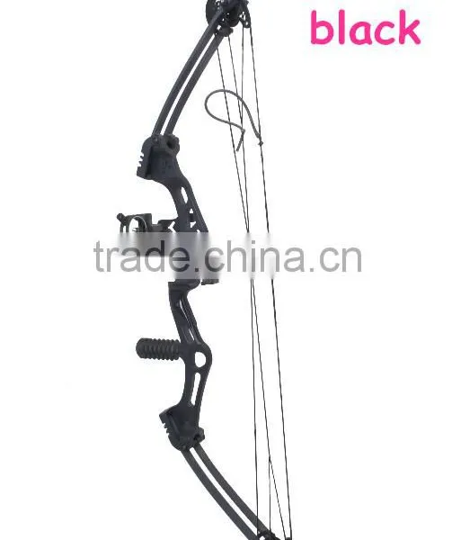 Hot Selling M107 Compound Bow Archery Bow Set for Hunting photo-6