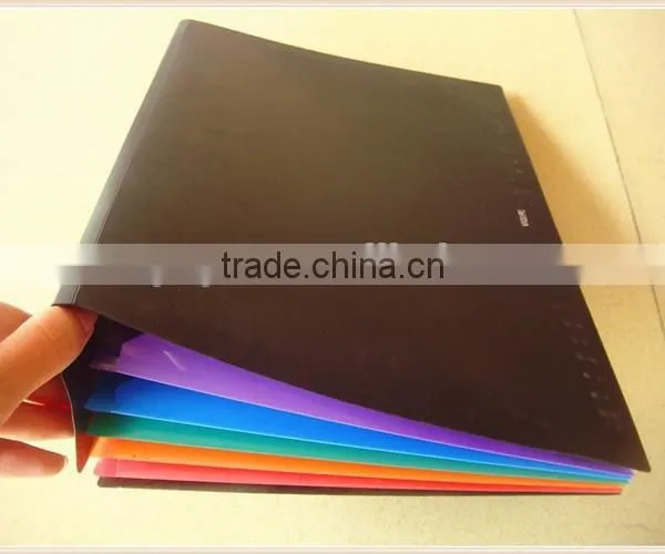 2015 PVC Decorative Expanding File Folders photo-3