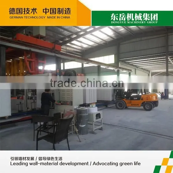 TOP Quality Autoclaved Aerated Concrete Blocks Making Plant for Sales - DONGYUE BRAND photo-6