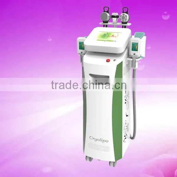 Fat Reduce Cryolipolysi Slimming Fat Freezing Weight Fat Reduction Loss Machine Cryolipolysis Slimming Machine photo-4