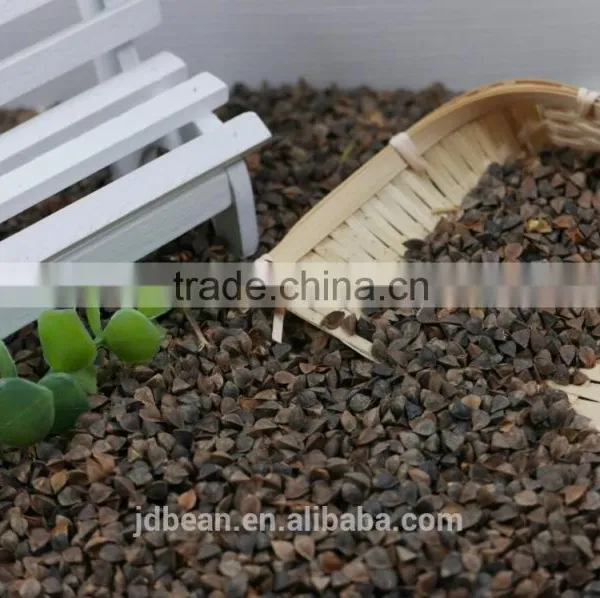 High Quality Raw Sweet Buckwheat Price photo-6