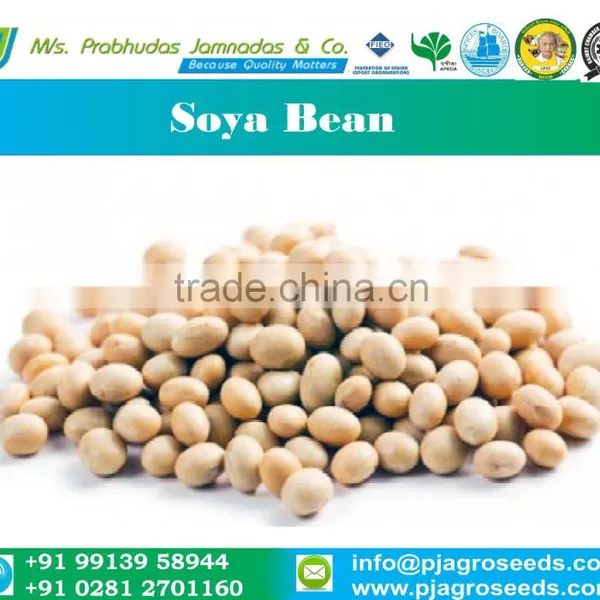 Soyabean