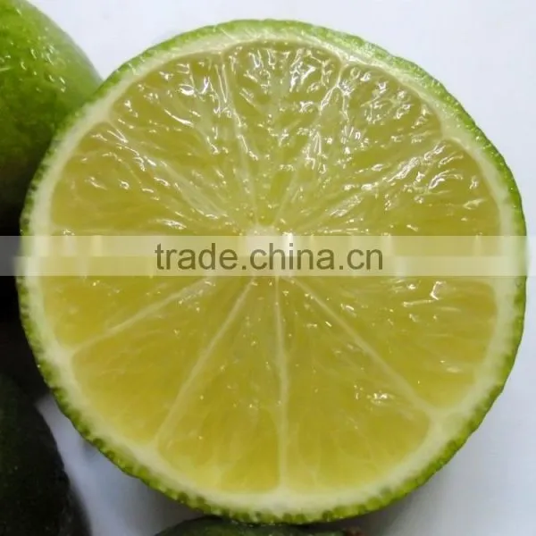 Fresh Lime VIET NAM 2015 photo-2