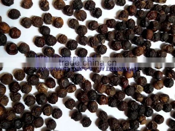 VIETNAM BLACK PEPPER /whatsapp +84963818434 photo-4