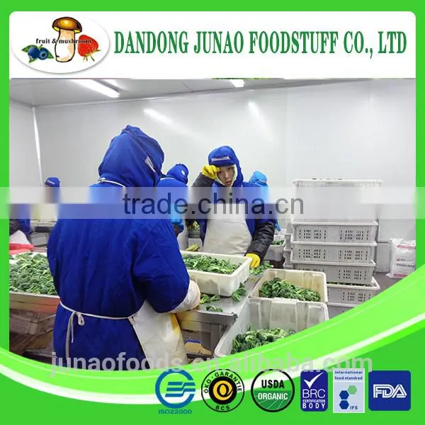 New Crop Iqf Broccoli Florets photo-2
