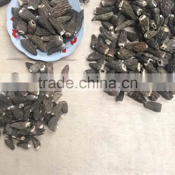 Chinese Dried Morels Mushroom photo-2
