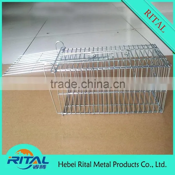 Humane Mouse Trap Cage for Trap Mouse Rat photo-2