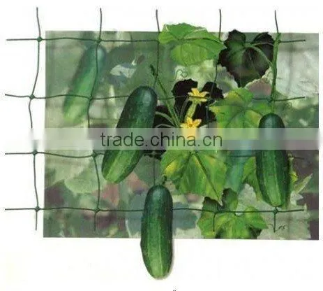 Vegetable Plant Support Net photo-2