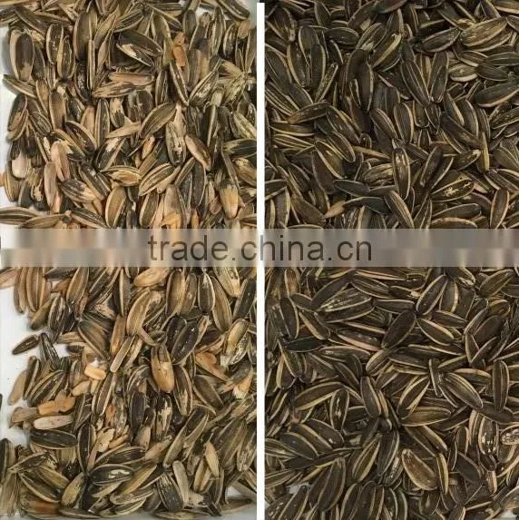 Multifunctional CCD Camera Sunflower Seed Color Separator photo-2
