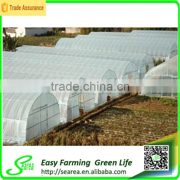 Hot Sale Low Cost Single-span Plastic Greenhouse for Agriculture photo-2