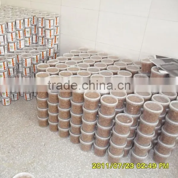 Microwave Dried Mealworm in Transparant Bag photo-3
