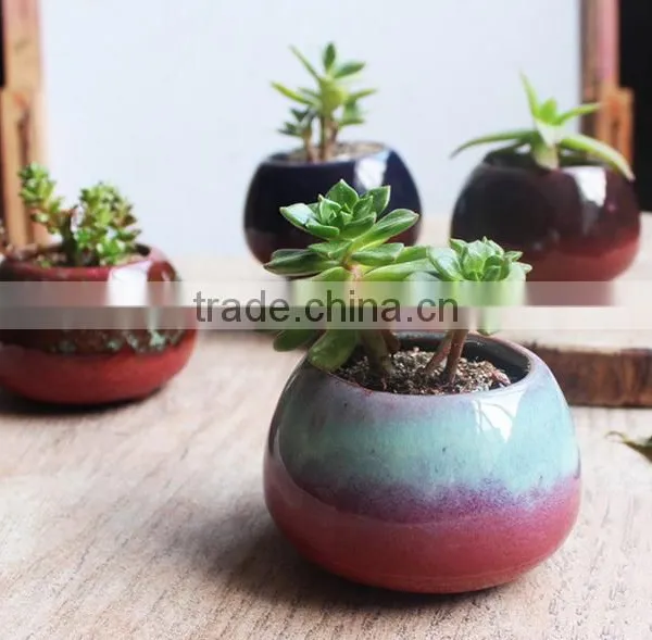 New Christmas Indoor Decor Glazed Small Succulent Pot photo-5
