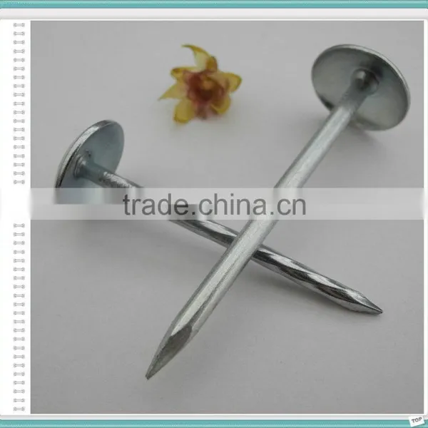 Top Quality Umbrella Head Roofing Nails/linyi Roofing Nails photo-2