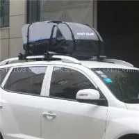 PVC Tarpaulin Waterproof Cargo Bag/ Car Roof Bag 1B0104-1